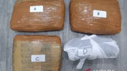 Polda Metro Jaya Gagalkan Peredaran 3 Kg Ganja di Tanah Abang, Dua Pelaku Diamankan