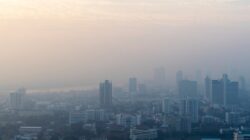 Polusi PM2.5 Ancam Usia Harapan Hidup, Pembakaran Terbuka Jadi Sorotan