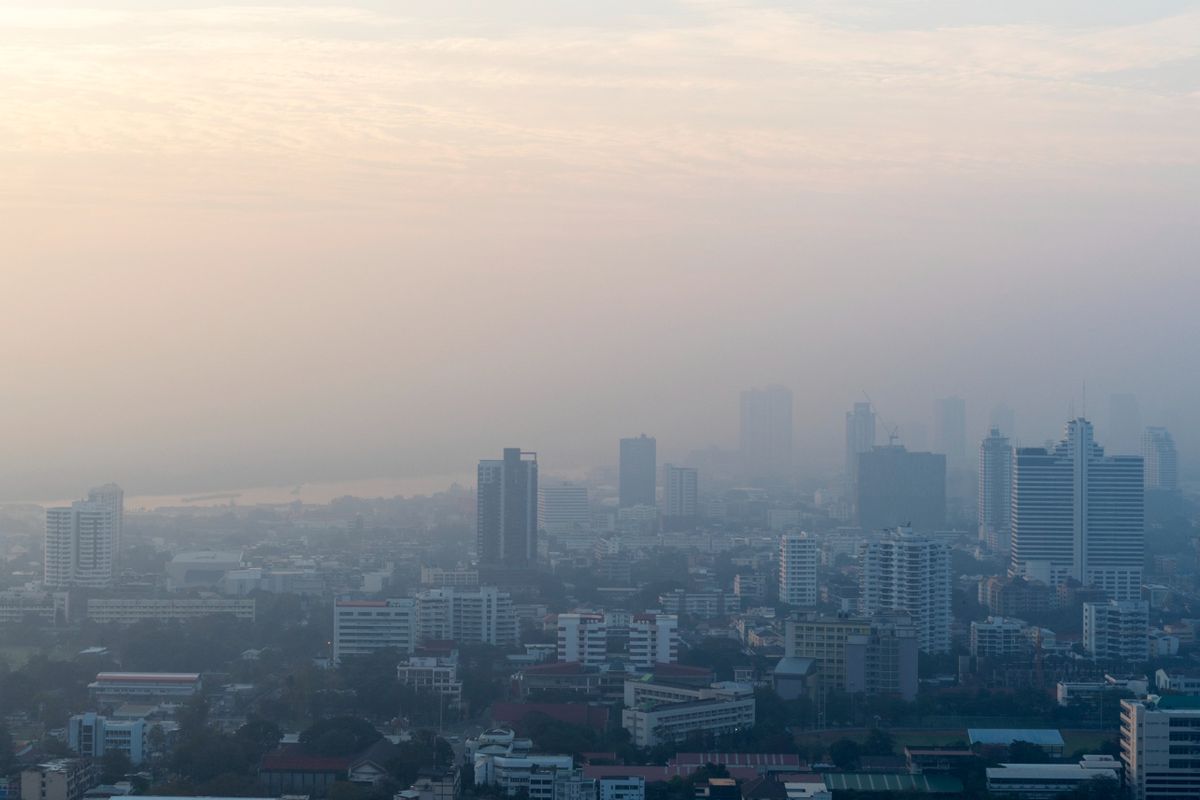 Polusi PM2.5 Ancam Usia Harapan Hidup, Pembakaran Terbuka Jadi Sorotan