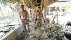 Praja IPDN Turun Tangan Bersihkan Situs Bersejarah Pasca Banjir Aceh Tamiang