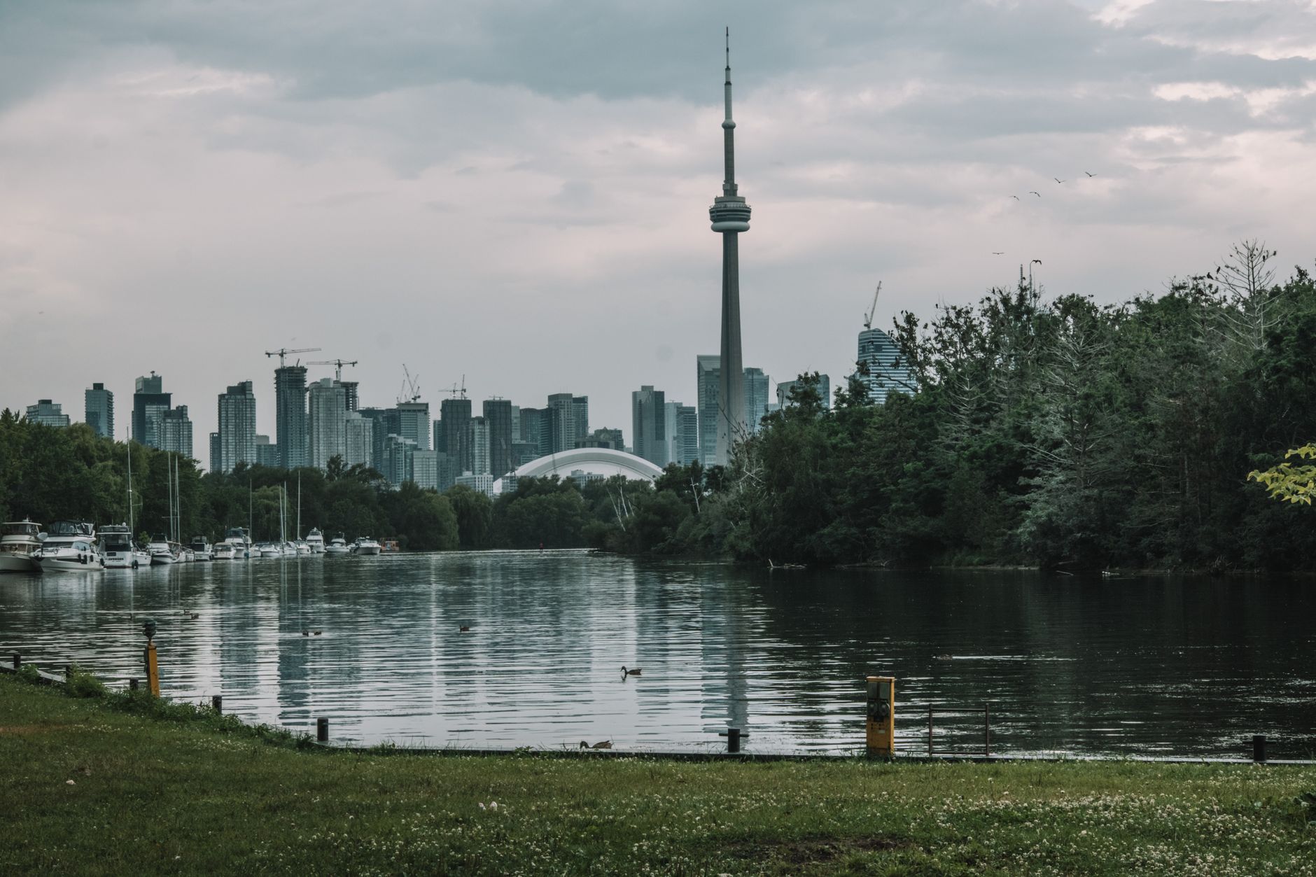 Pemandangan indah langit Toronto menampilkan Menara CN yang ikonik dan vegetasi subur di hari yang mendung.
