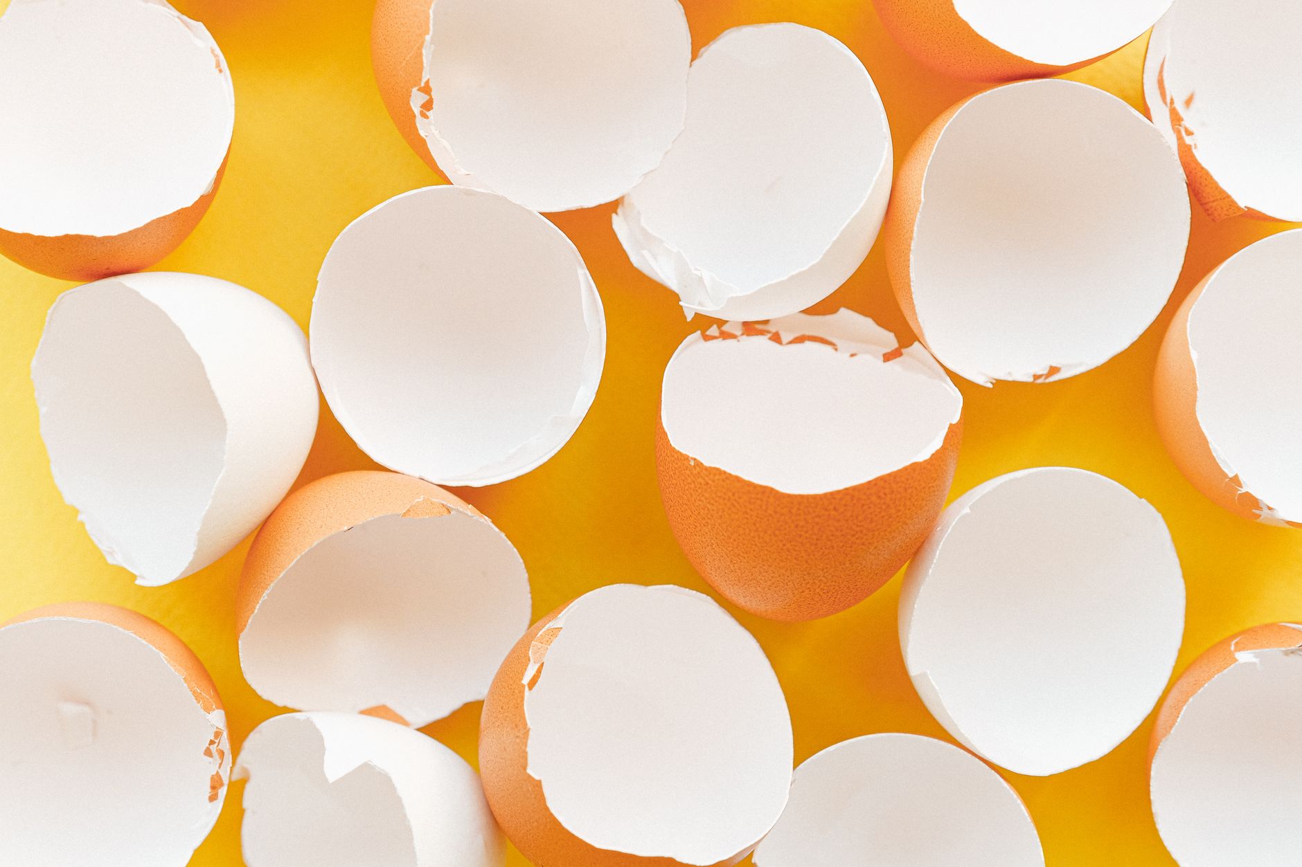 Gambar minimalis cangkang telur yang tersebar di latar belakang kuning cerah.